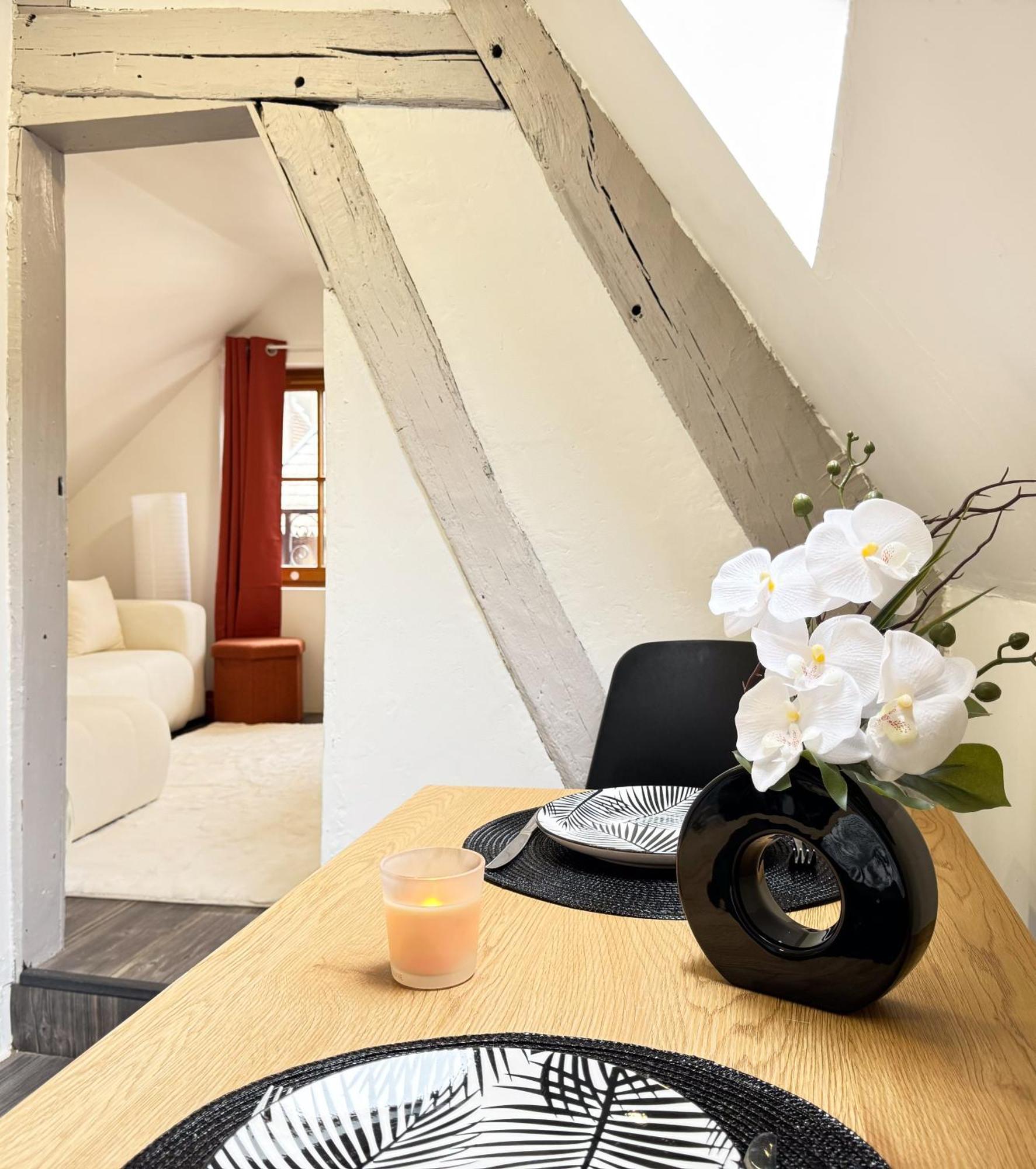 דירות La Douceur - Hypercentre Pieton De Troyes - Cozy מראה חיצוני תמונה